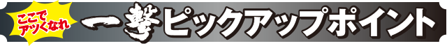 マジカルハロウィン6のピックアップポイント