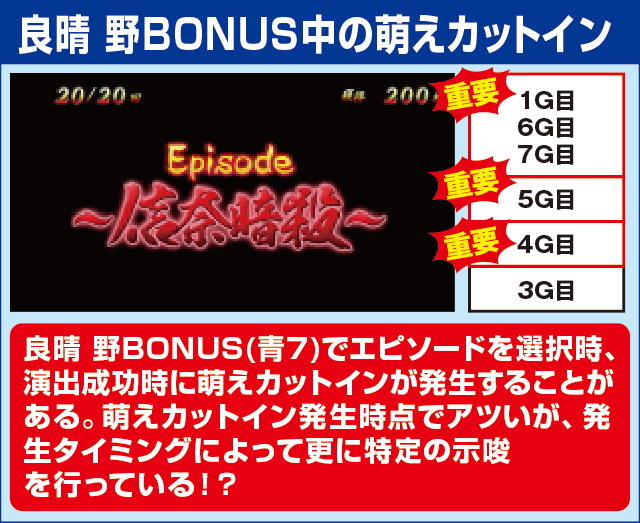 戦国美少女 織田信奈の野望の確定演出