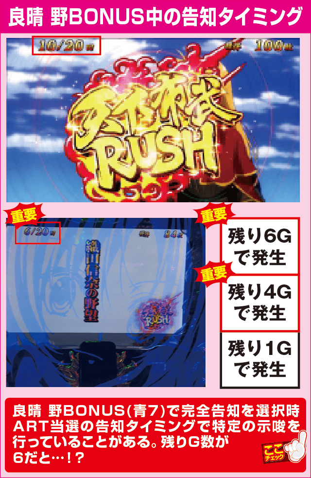 戦国美少女 織田信奈の野望の確定演出