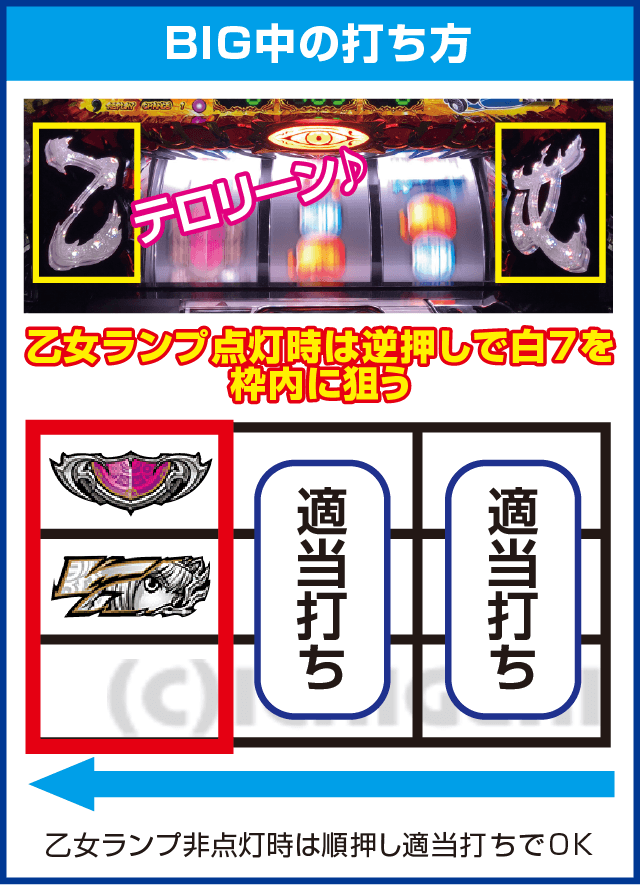 戦国乙女 TYPE A+のピックアップ