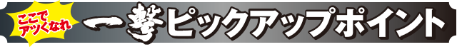 ぱちスロAKB48 勝利の女神のピックアップポイント