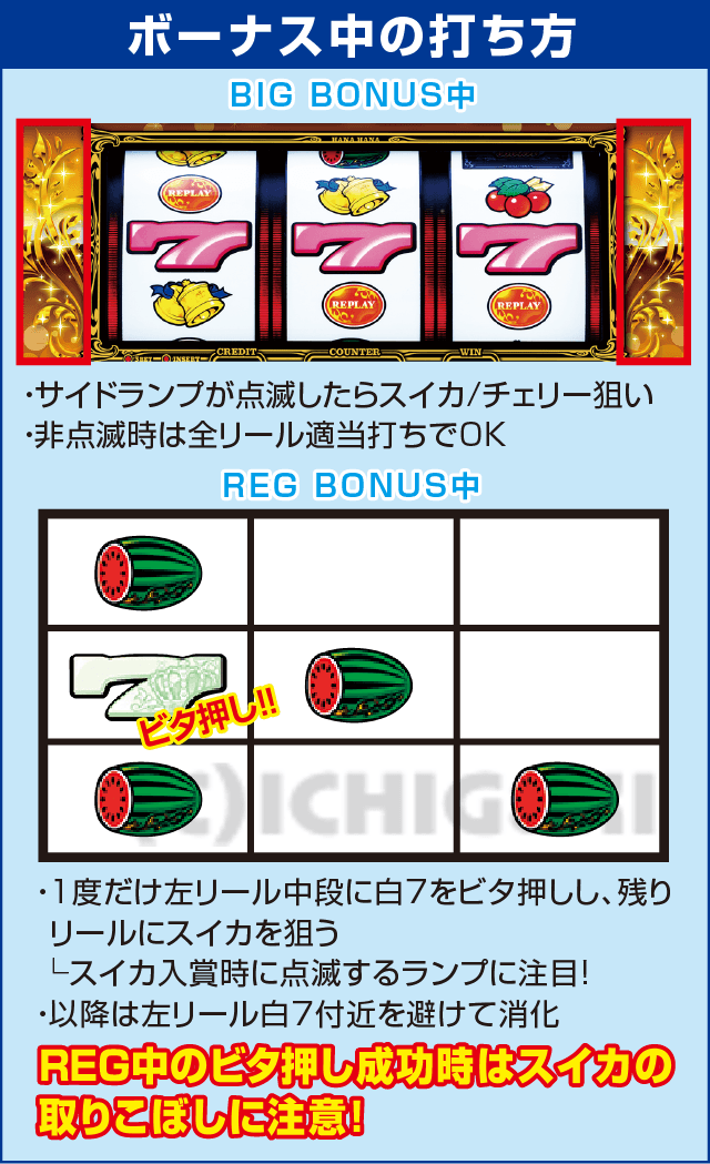 グレートキングハナハナ-30のピックアップ