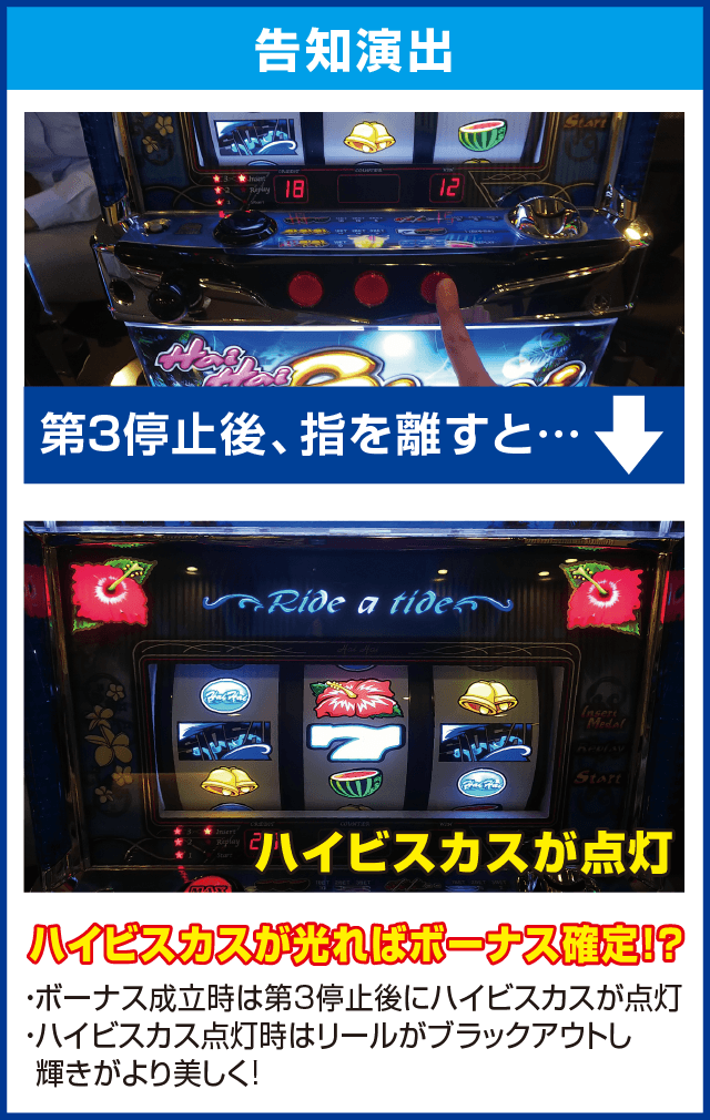 ハイハイシオサイのピックアップ