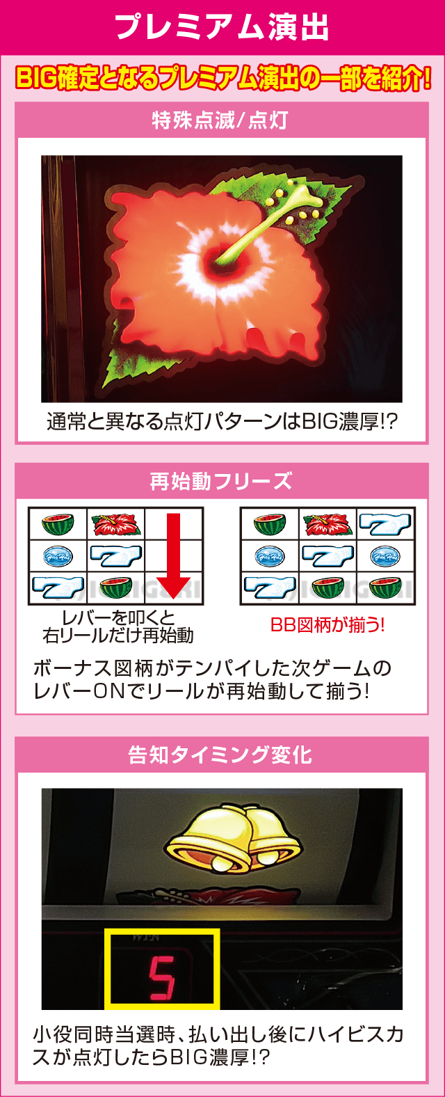 ハイハイシオサイのピックアップ