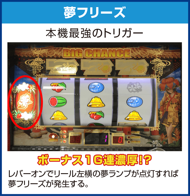 島漢-30のピックアップ