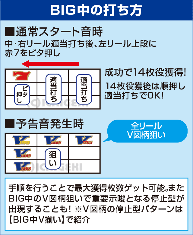 バーサスのピックアップ