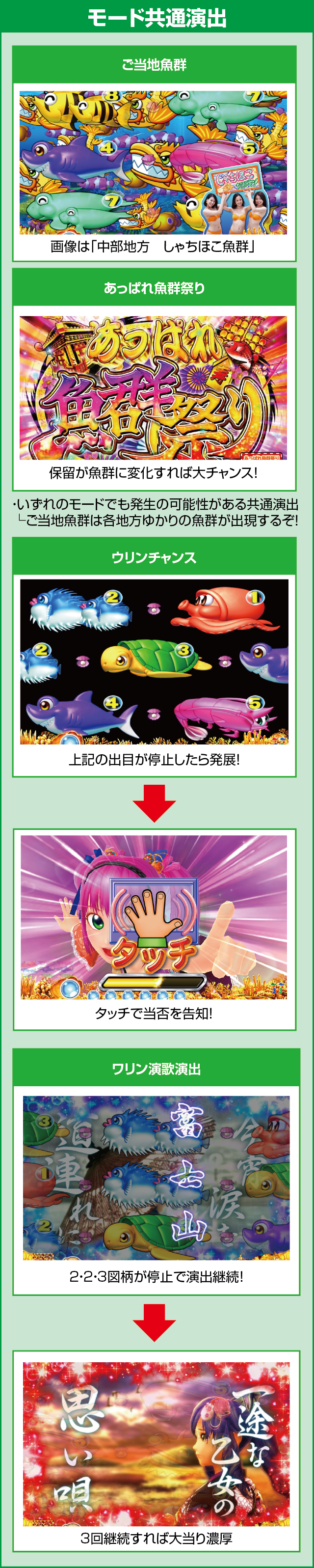 CRスーパー海物語IN JAPAN　金富士バージョン 319ver.のピックアップポイント