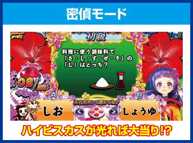 P遠山の金さん2 遠山桜と華の密偵のピックアップ