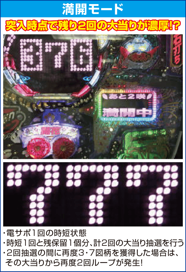 Pツインループ花満開のピックアップ