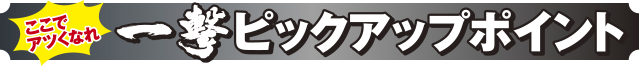 PA咲-Saki-阿知賀編 99バージョンのピックアップポイント