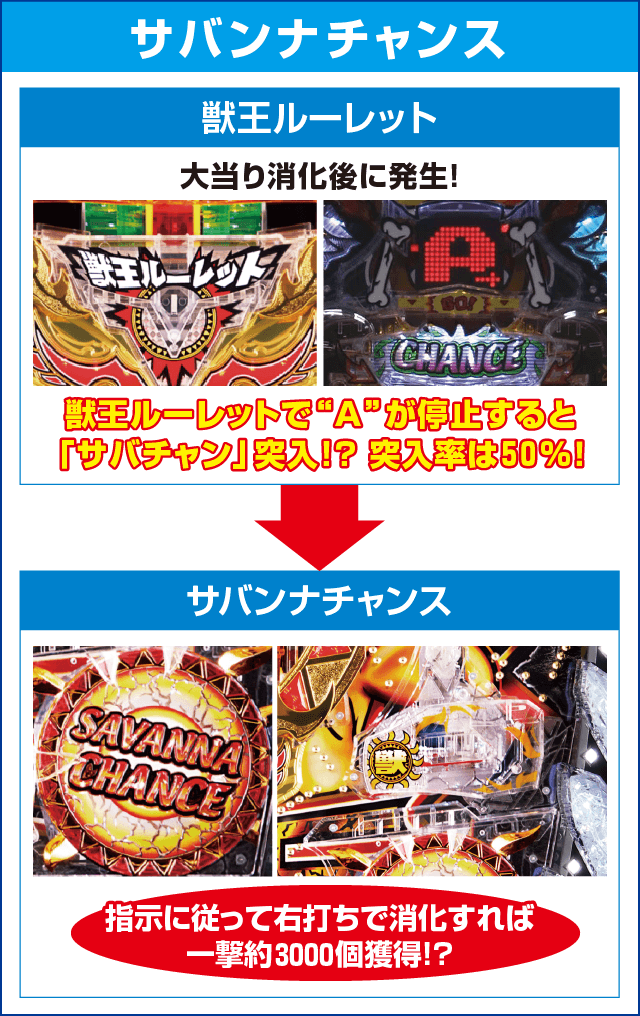 P超ハネ獣王のピックアップ