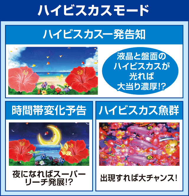 Pスーパー海物語 IN 沖縄5のピックアップ