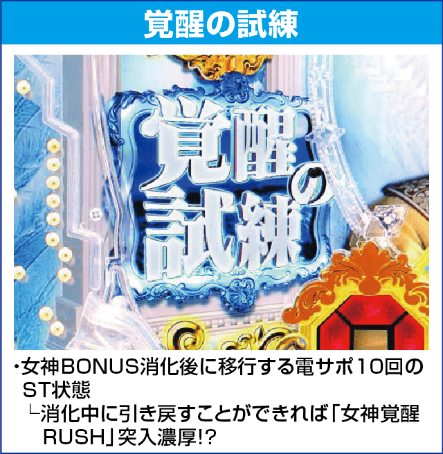 P女神ドリームのピックアップ