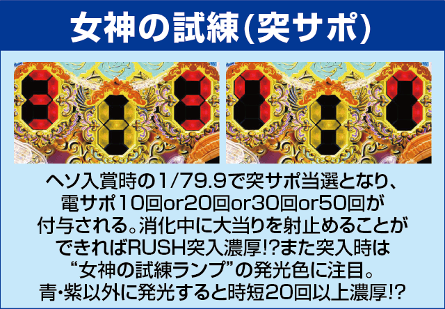 P女神ドリームのピックアップ