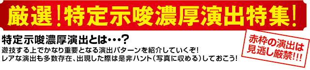 PA満開花火GOの確定演出