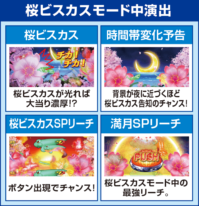 Pスーパー海物語 IN 沖縄5 桜ver.319のピックアップ