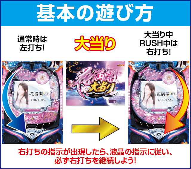 P花満開 月光 THE FINALのスペック