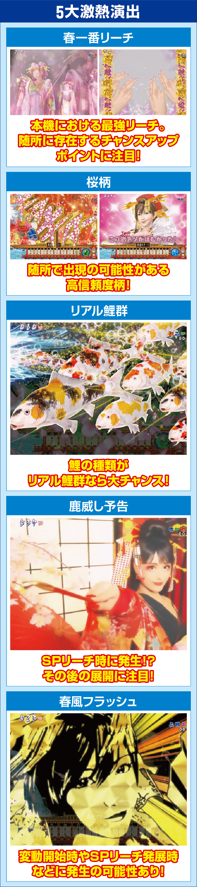 P春一番～恋絵巻～GC250Aのピックアップ