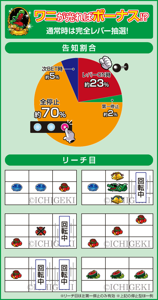 沖ワニマル-25のピックアップ