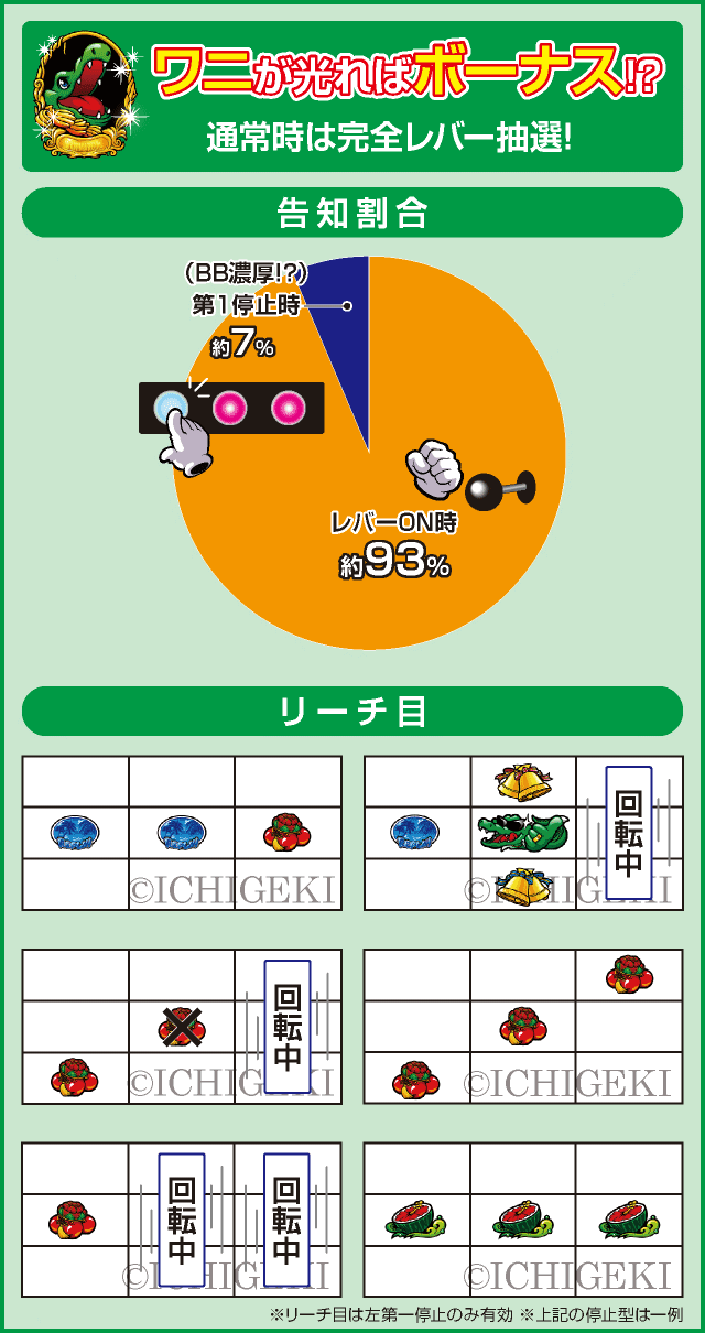 沖ワニマル-30のピックアップ