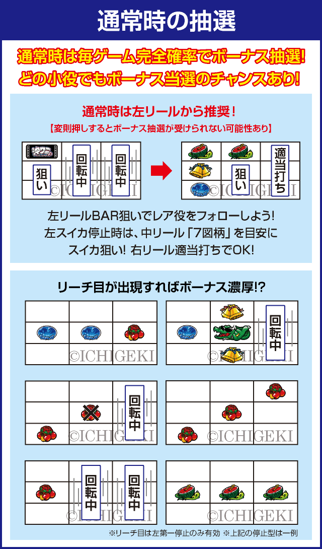 沖ワニマル-30のピックアップ