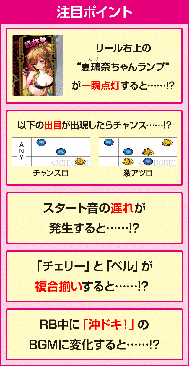 泡盛のピックアップ