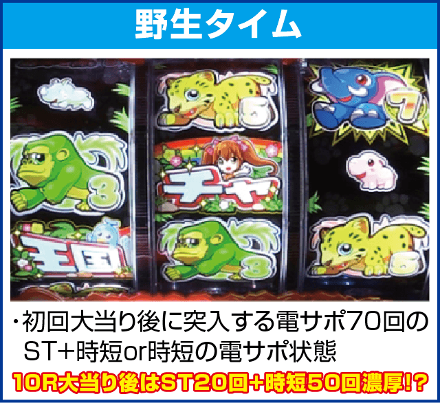 PA野生の王国～どらむサファリ～のピックアップ