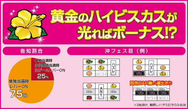 沖縄フェスティバル-30のピックアップ