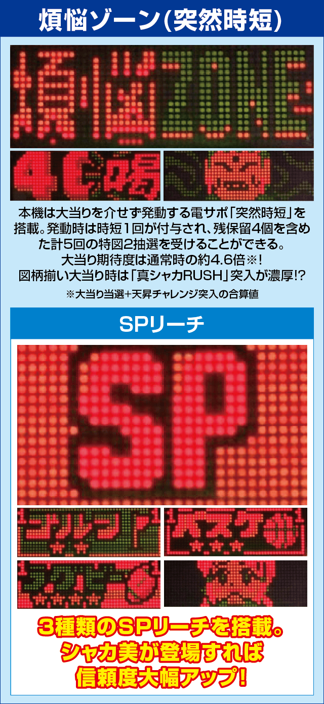 P真シャカRUSH Jr.117(遊タイムありver.)のピックアップ