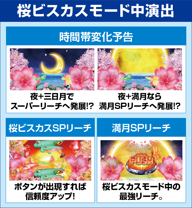 Pスーパー海物語 IN 沖縄5 夜桜超旋風のピックアップ