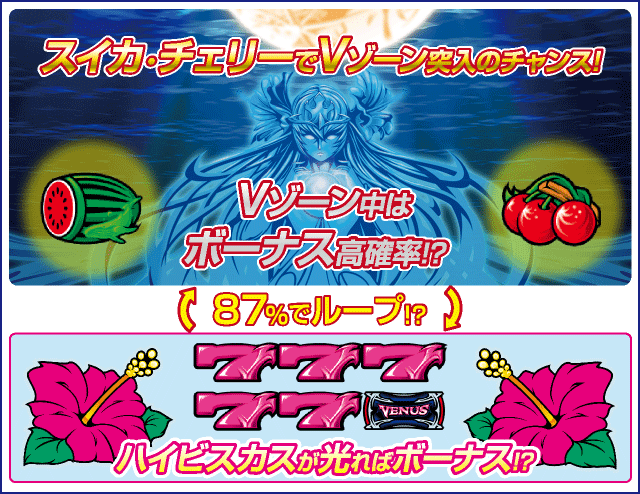 ヴィーナスゾーンのピックアップ