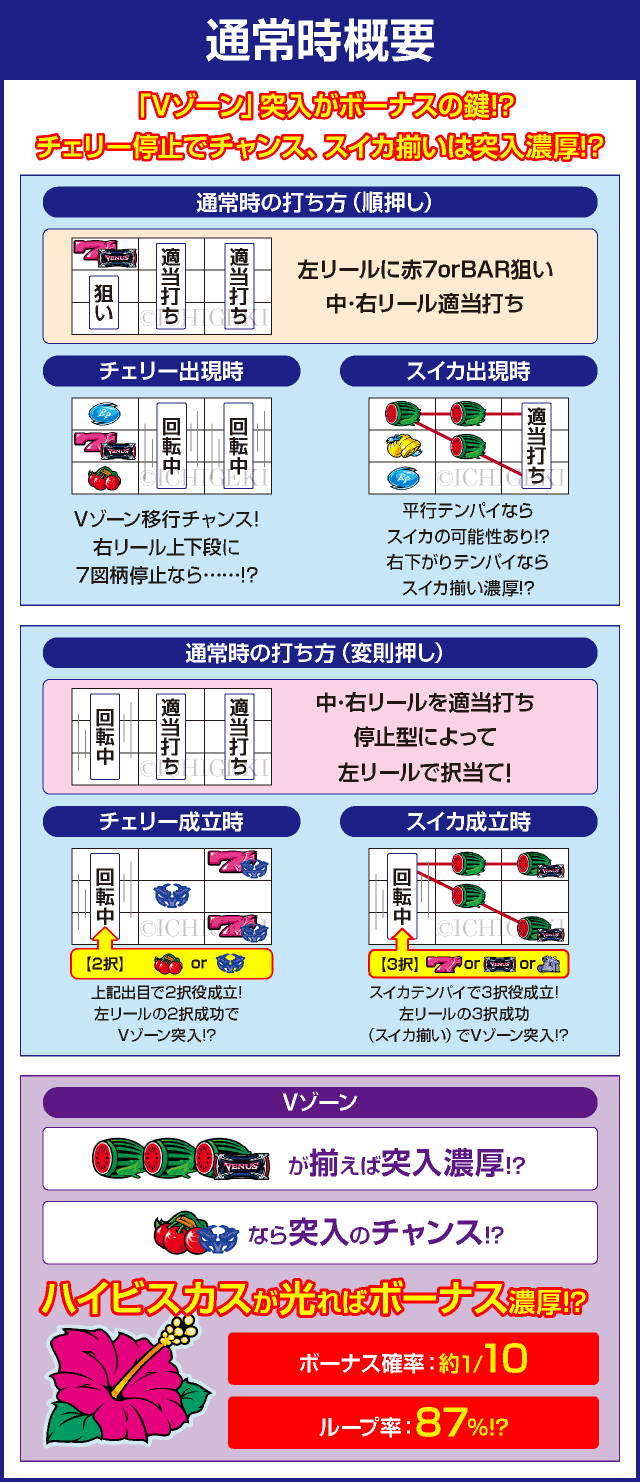ヴィーナスゾーンのピックアップ