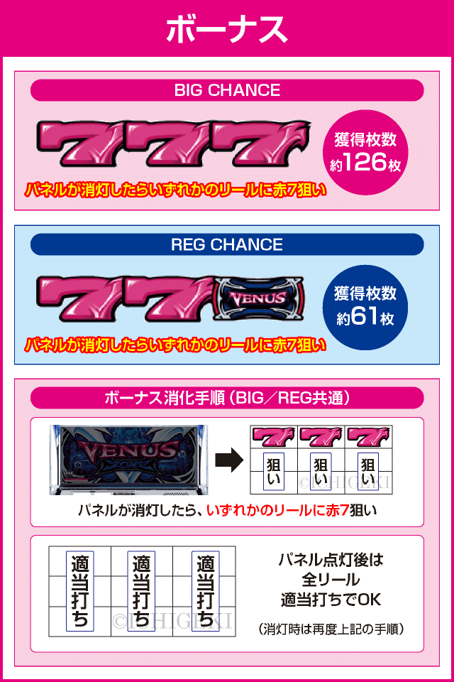 ヴィーナスゾーンのピックアップ