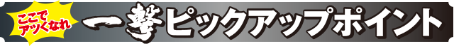 パチスロ 真俺の空のピックアップポイント