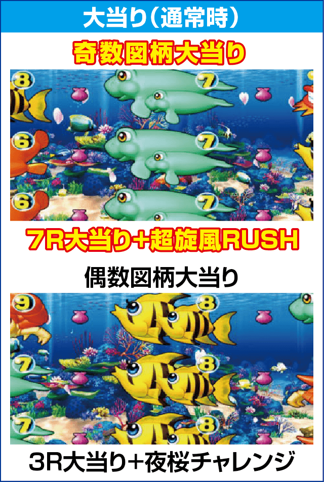 PAスーパー海物語 IN 沖縄5 夜桜超旋風 99ver.のピックアップ