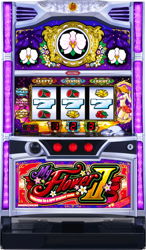 マイフラワー2-30の筐体