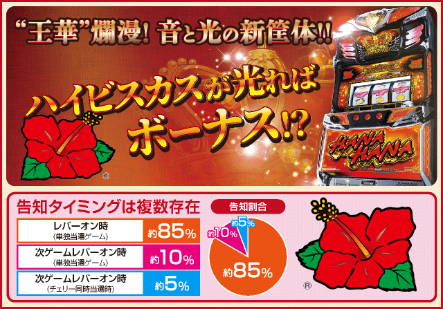 キングハナハナ-30(2023年)のピックアップ