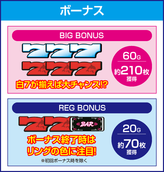 マイフラワー2-30のピックアップ