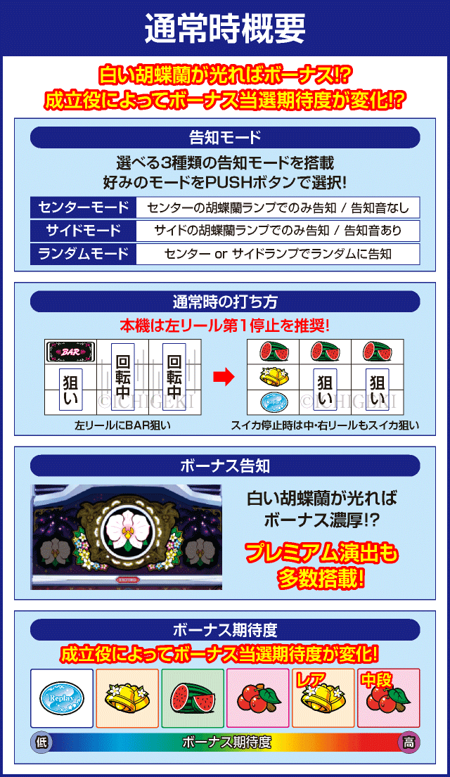マイフラワー2-30のピックアップ