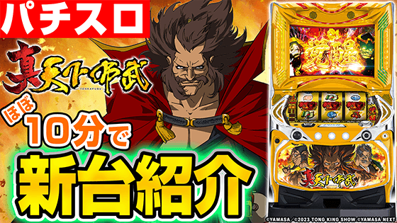 真天下布武の基本の遊び方