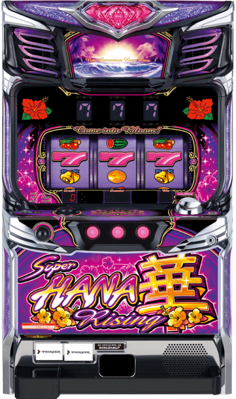 スーハナライジング-30の筐体