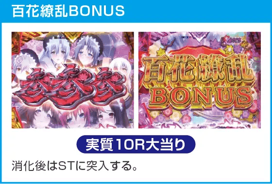 P 百花繚乱のスペック