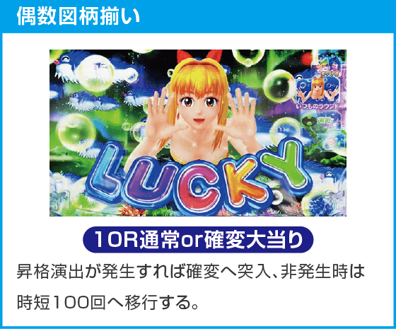 e新海物語349のスペック