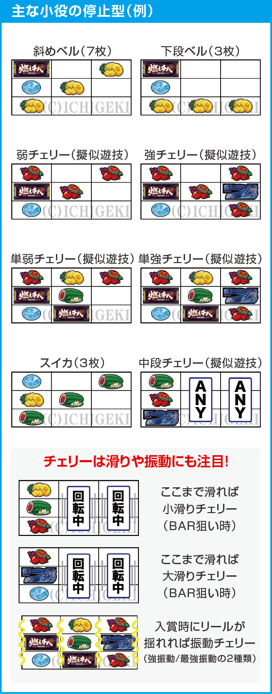 燃えチバ-30のスペック
