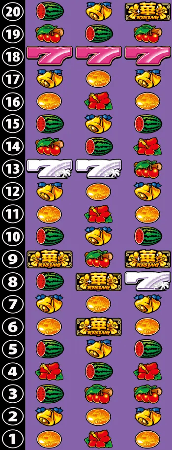 スーハナライジング-30のリール