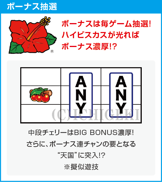 スーハナライジング-30