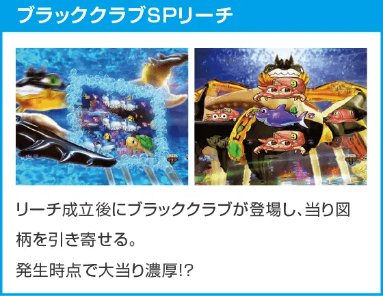 P大海物語5 ブラックのスペック