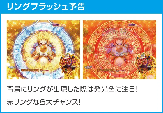 P大海物語5 ブラックのスペック