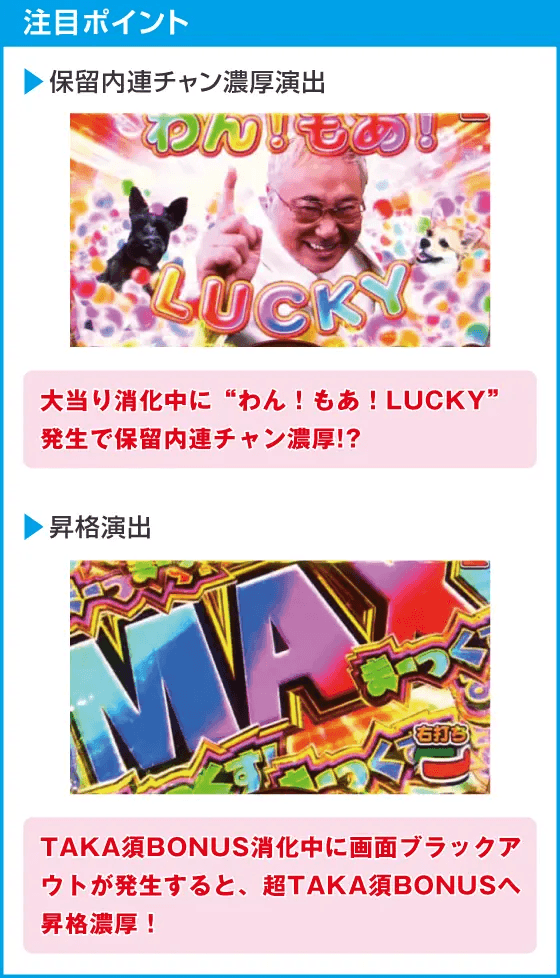 Pyes!高須クリニック～超整形PINK～のスペック