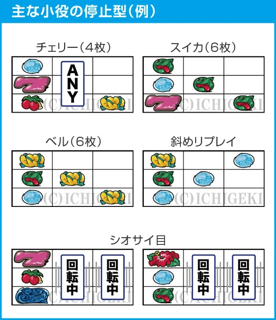 ニューシオサイのスペック